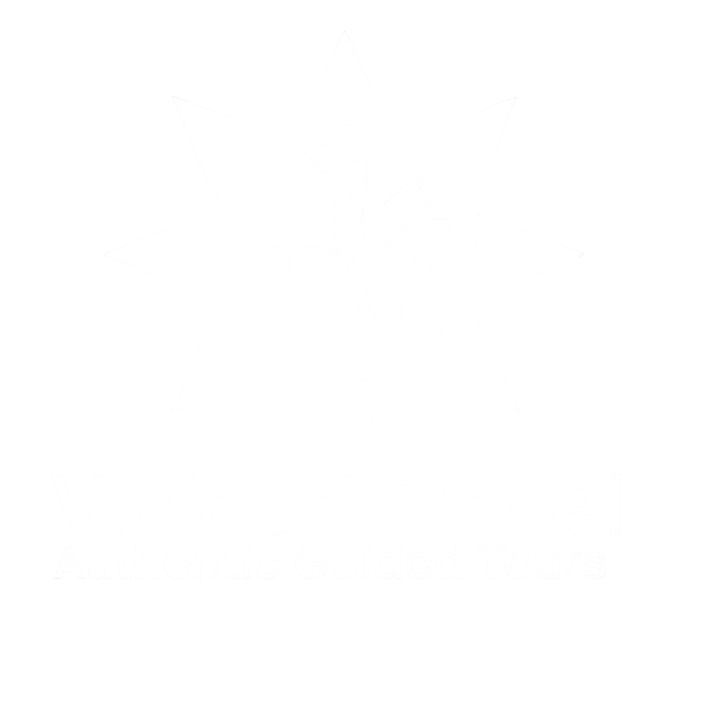 White 2 Vivicos Travel Logo Design